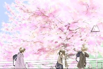 深入了解 福建大菠萝导航官网